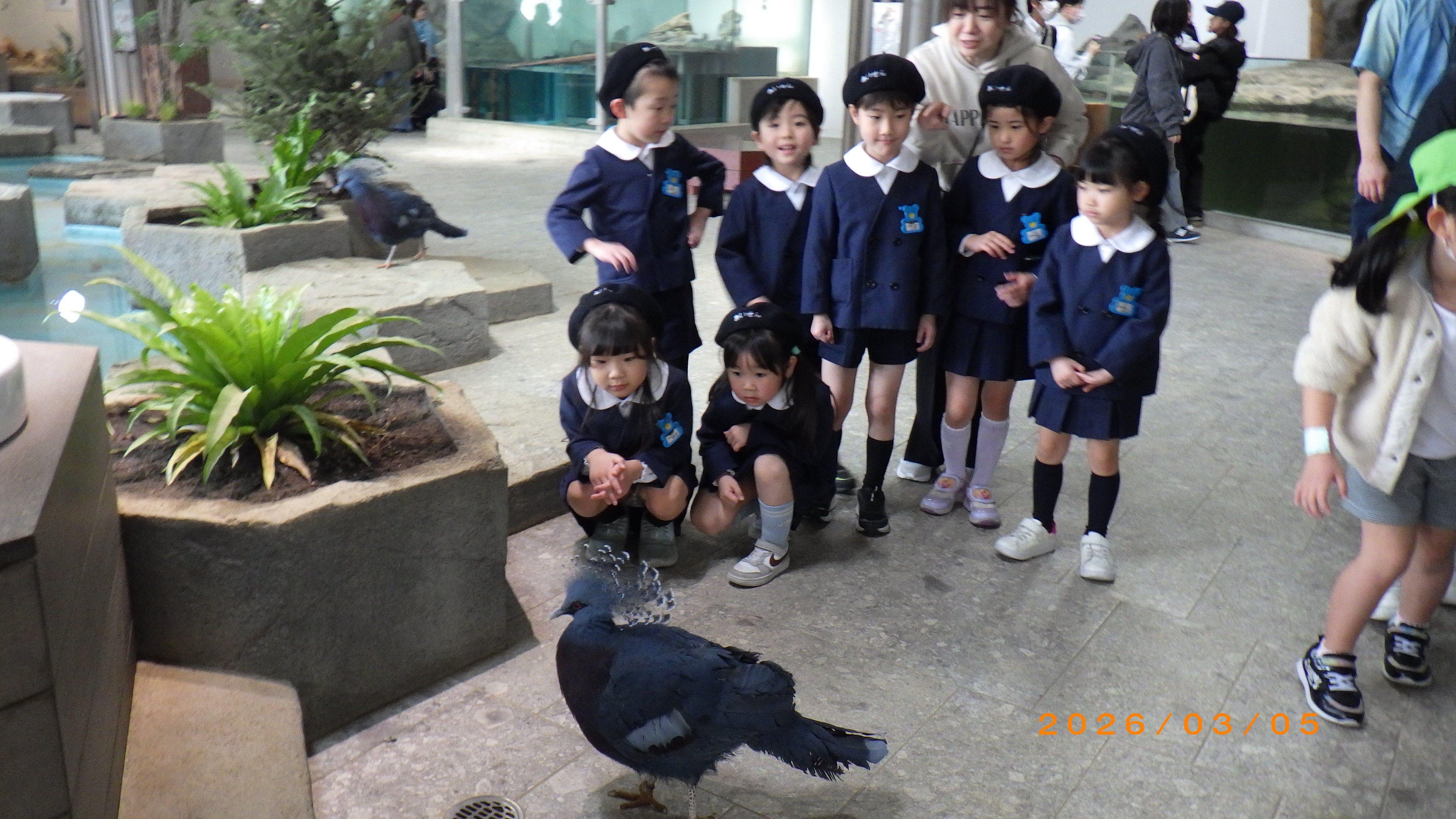 青組卒園記念園外保育!